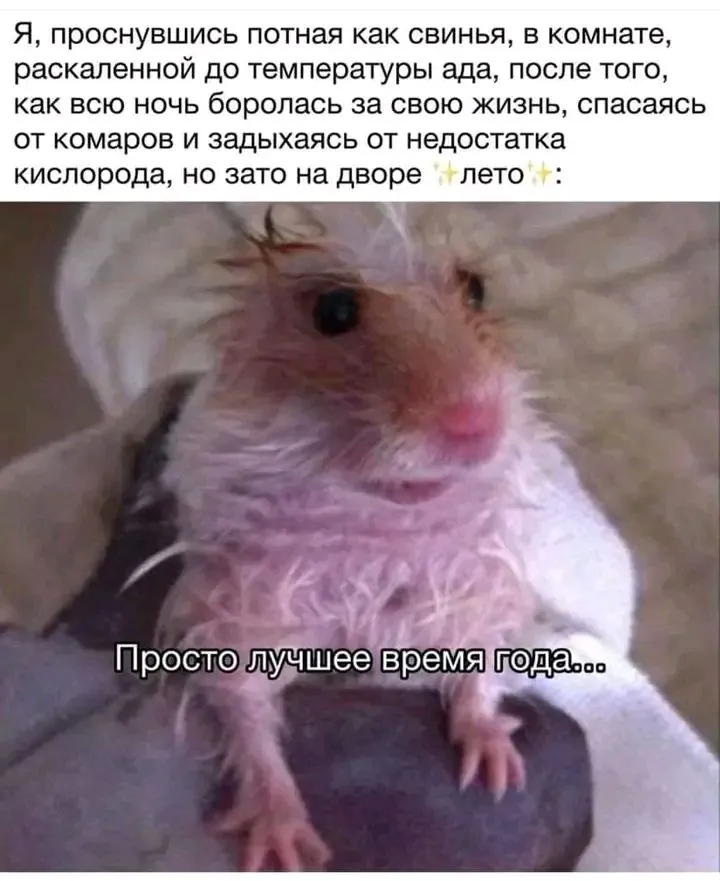 1719987684598.webp