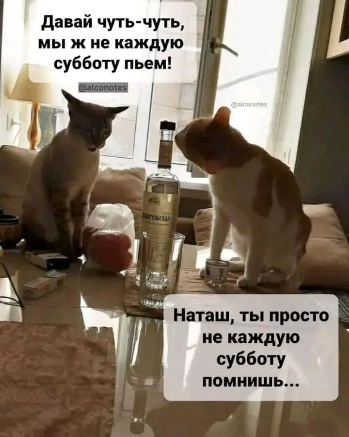 1720096606422.webp