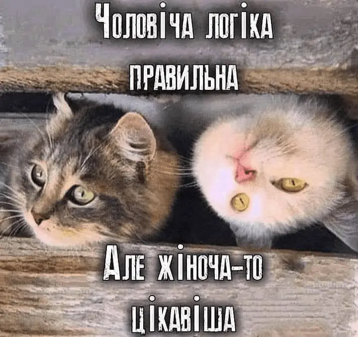 1720103586538.webp