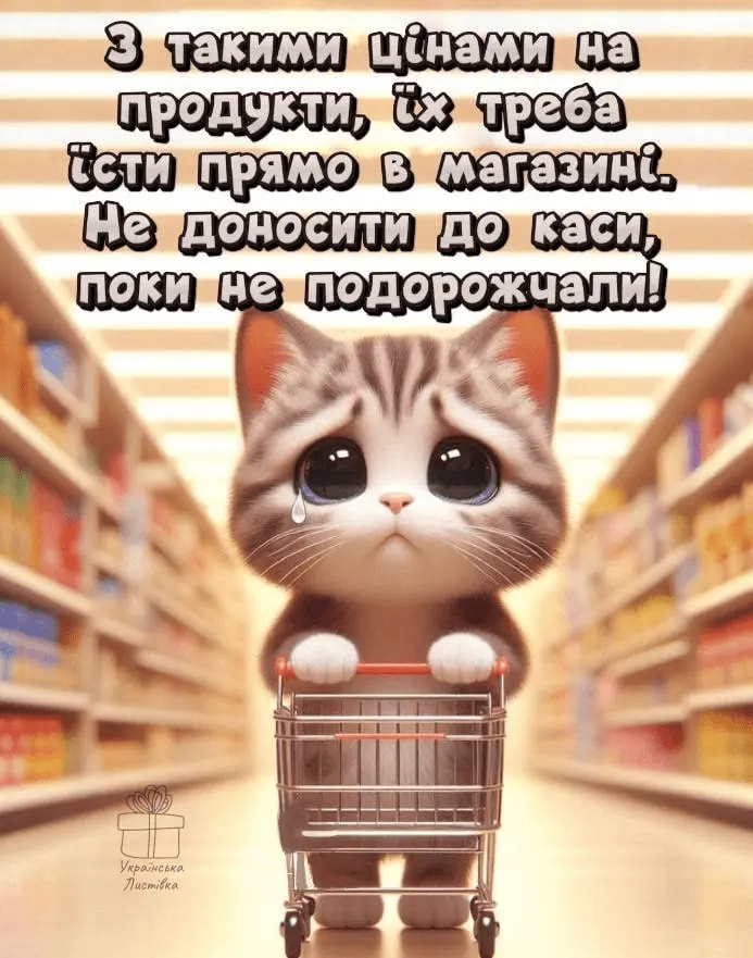 1720120017999.webp