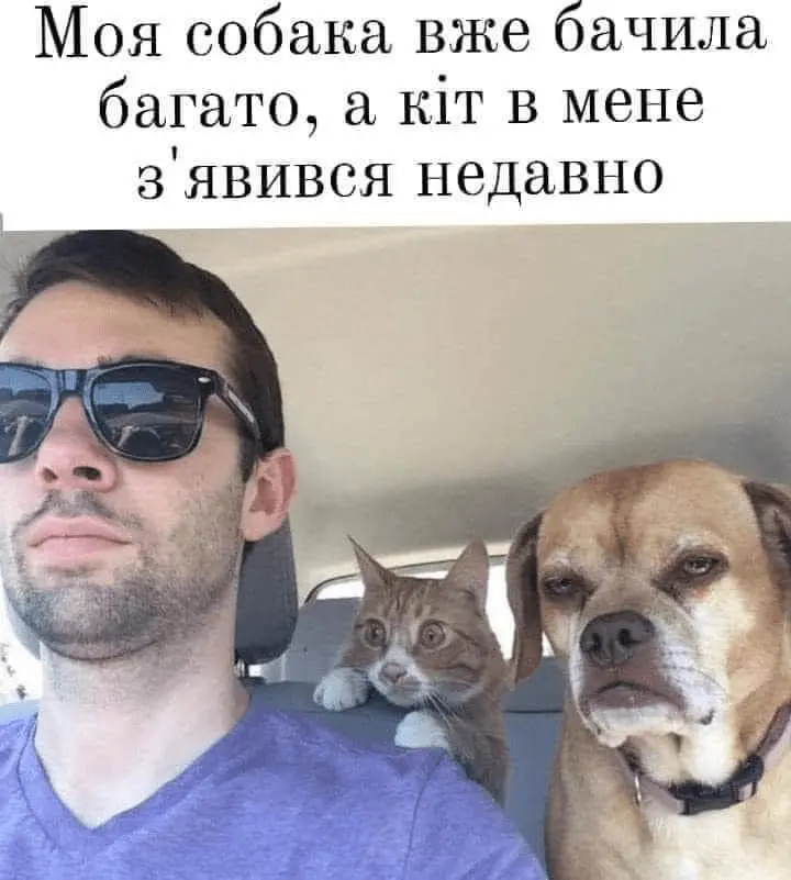 1720161319528.webp