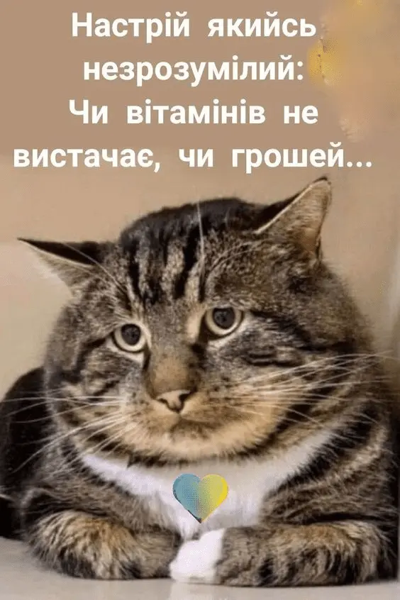1720168352096.webp