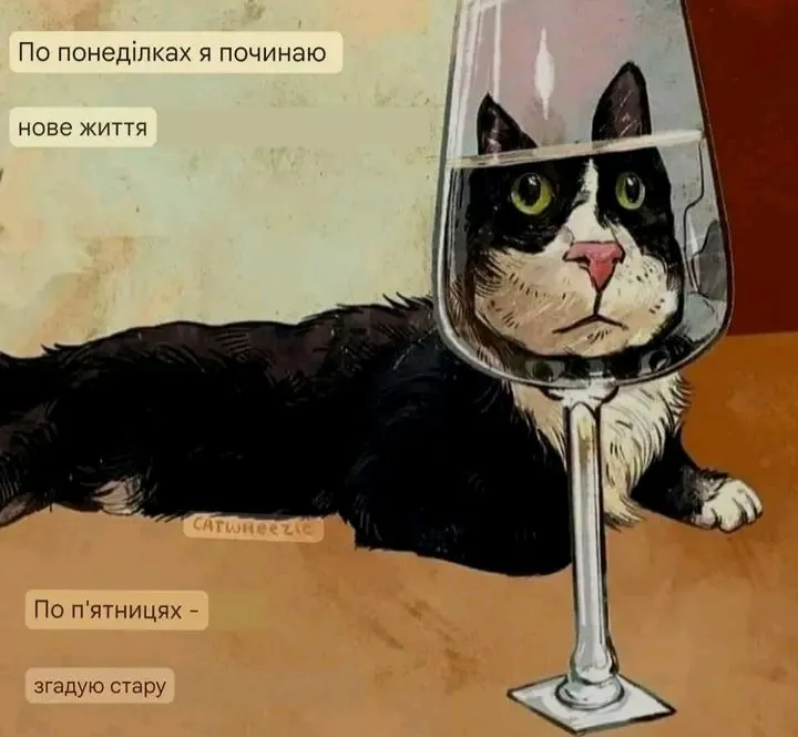 1720282629198.webp