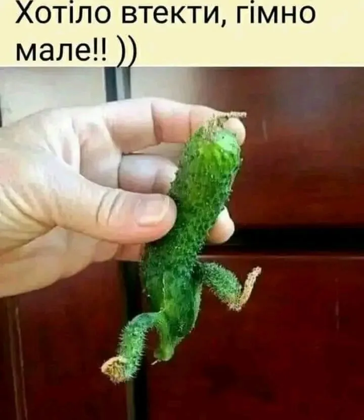 1720362050790.webp