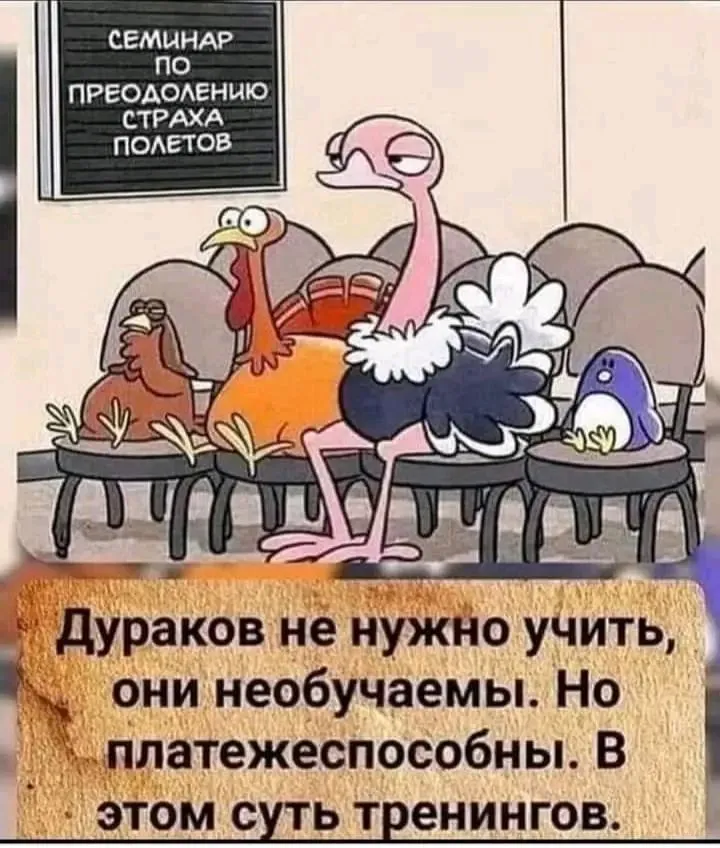1720380504501.webp