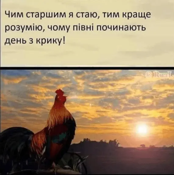 1720599905648.webp