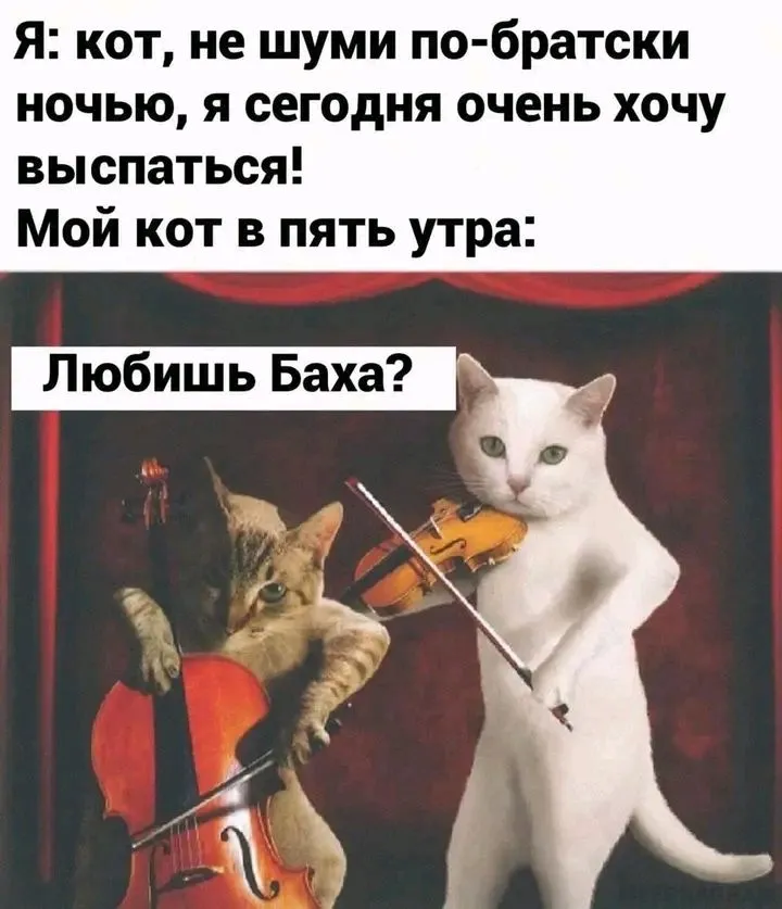 1720796967855.webp