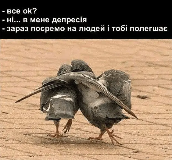 1720890237402.webp