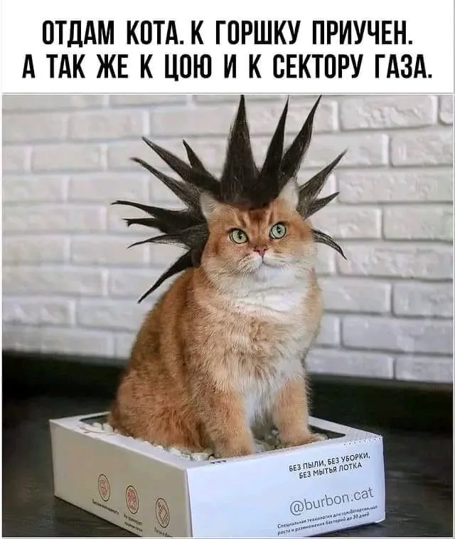 1720953444299.webp