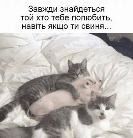 1720976890544.webp