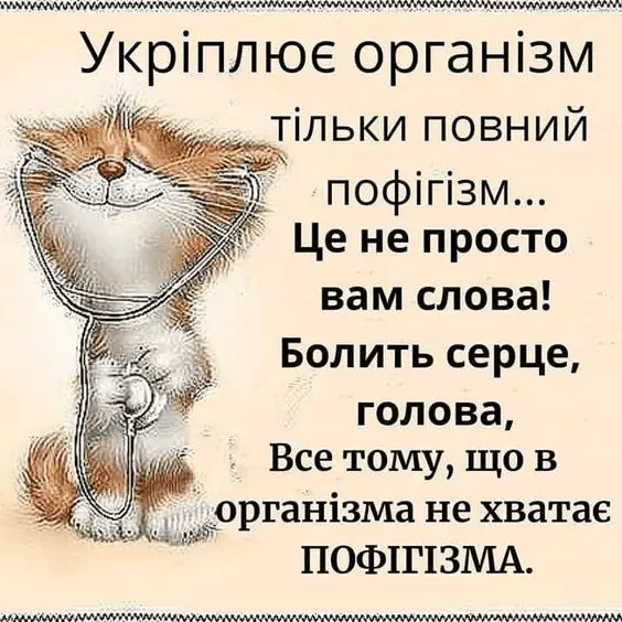 1721025913785.webp