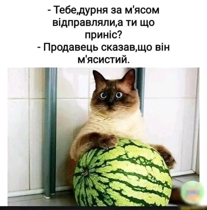 1721036618971.webp