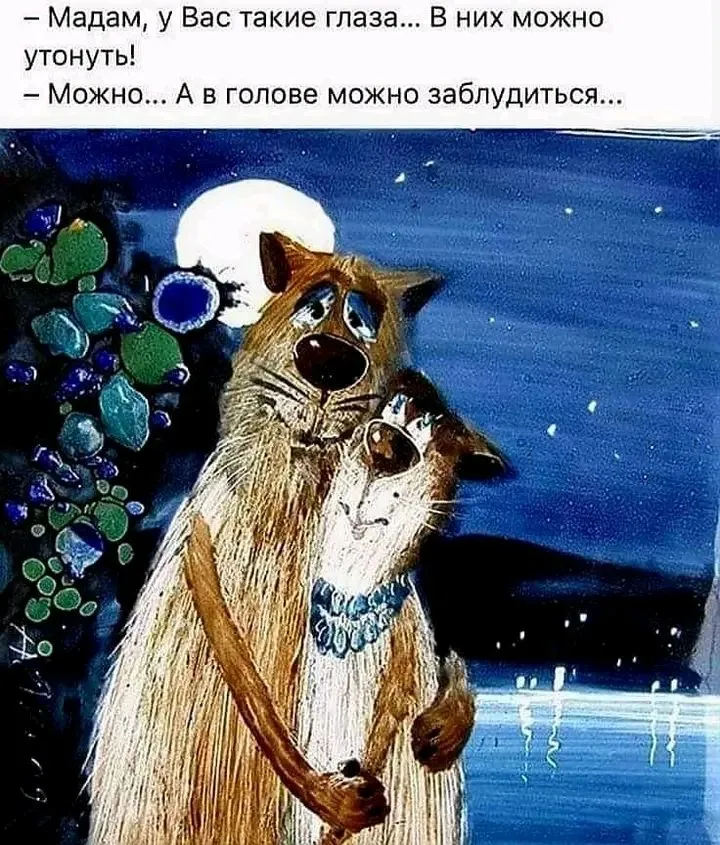 1721037347435.webp
