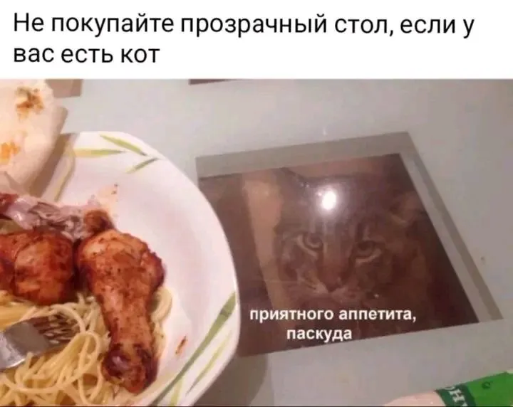 1721068234777.webp