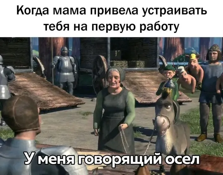 1721447842138.webp