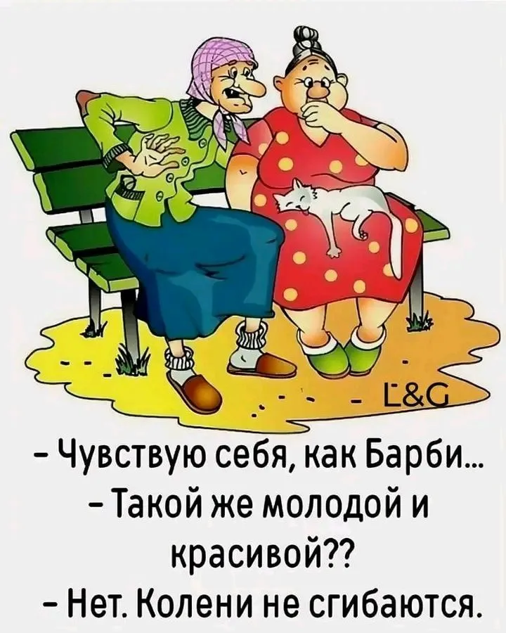 1721477078937.webp