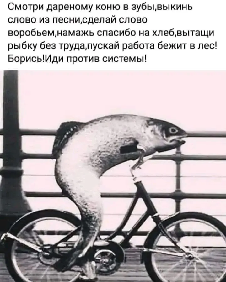 1721488619176.webp