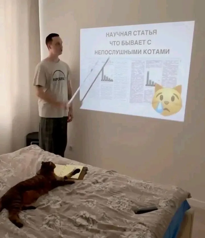 1721490817301.webp