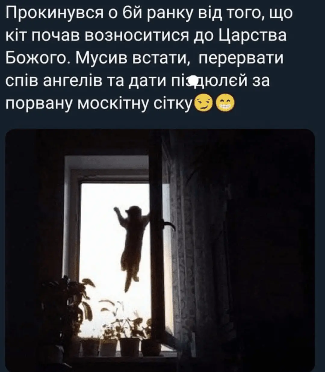1721796871882.webp