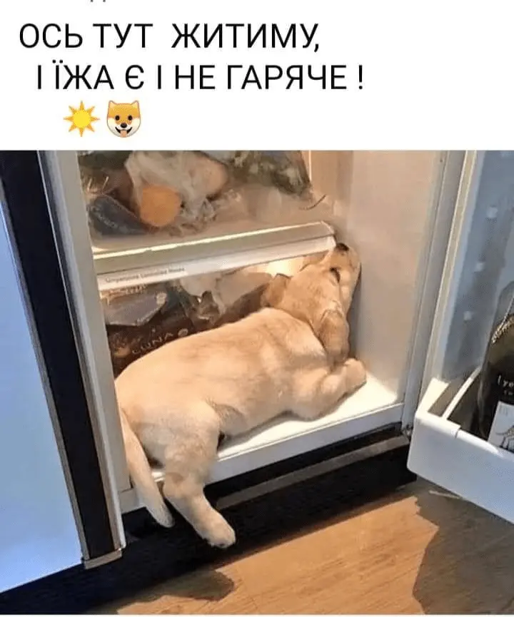 1721829304579.webp