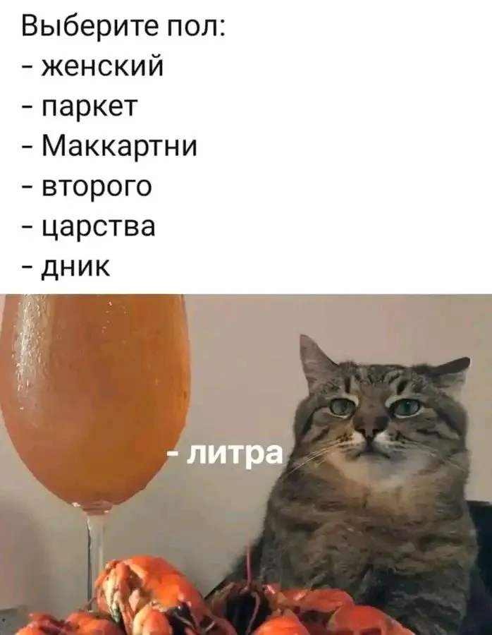 1721971383530.webp
