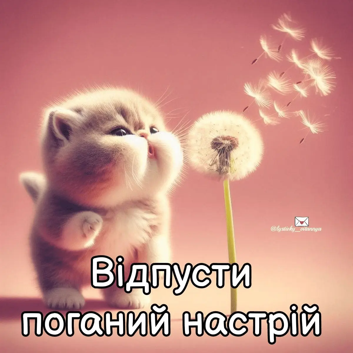 1722074872142.webp