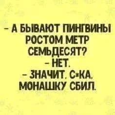 1722081613913.webp