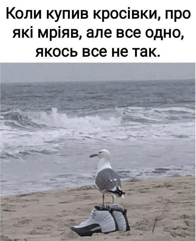 1722155429477.webp