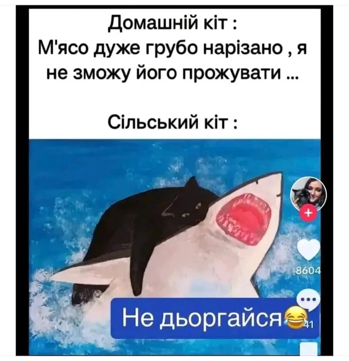 1722162791056.webp