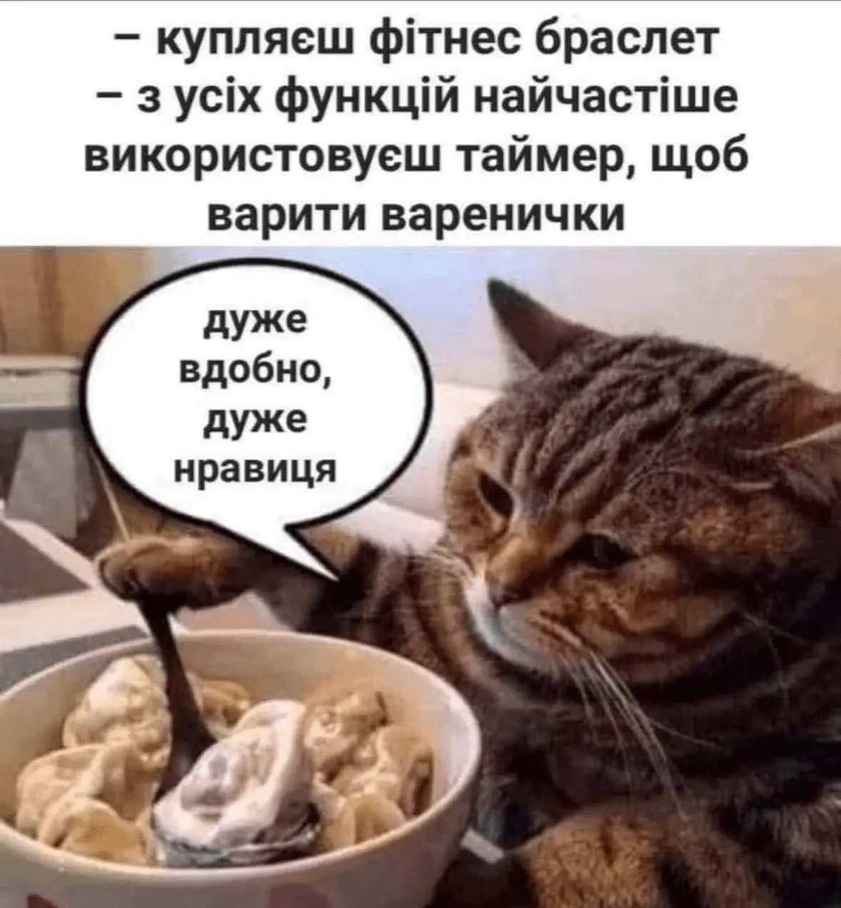 1722250577528.webp
