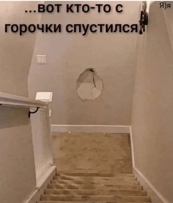 1722254058360.webp