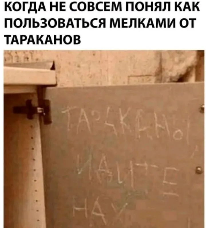 1722260134566.webp