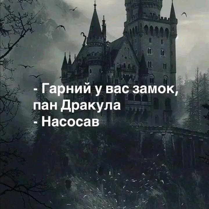 1722266182518.webp