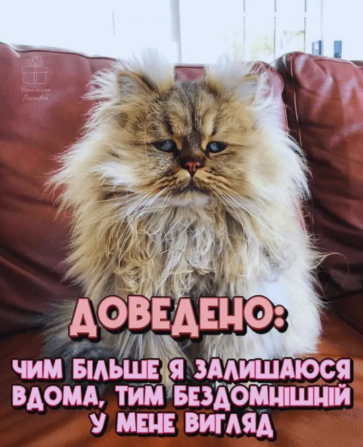 1722277208789.webp