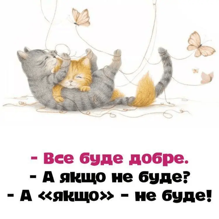 1722361244366.webp