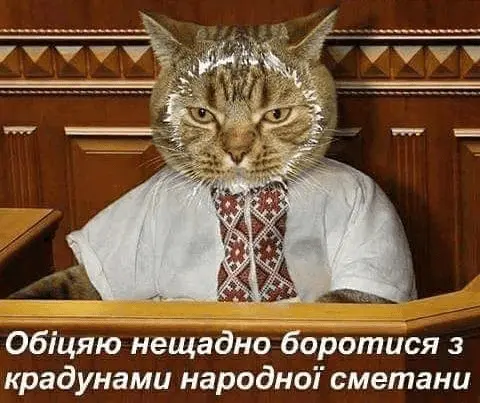 1722509643548.webp
