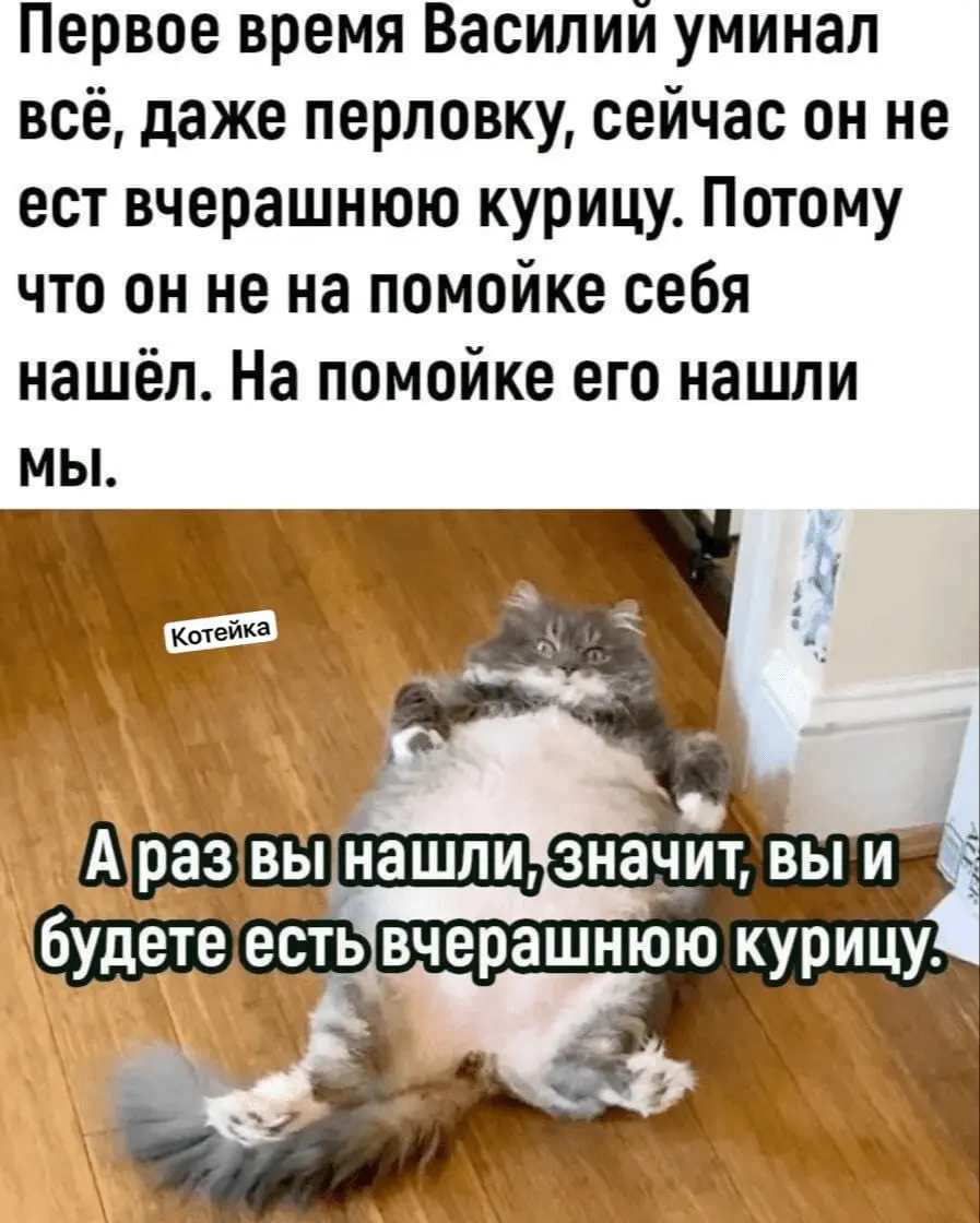 1722511797890.webp