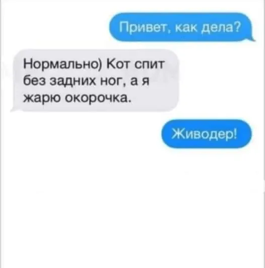 1722574467356.webp