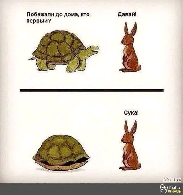 1722597163867.webp