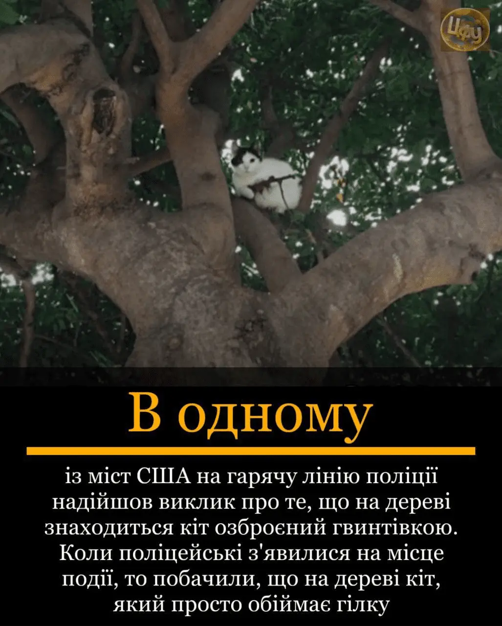1722619243037.webp