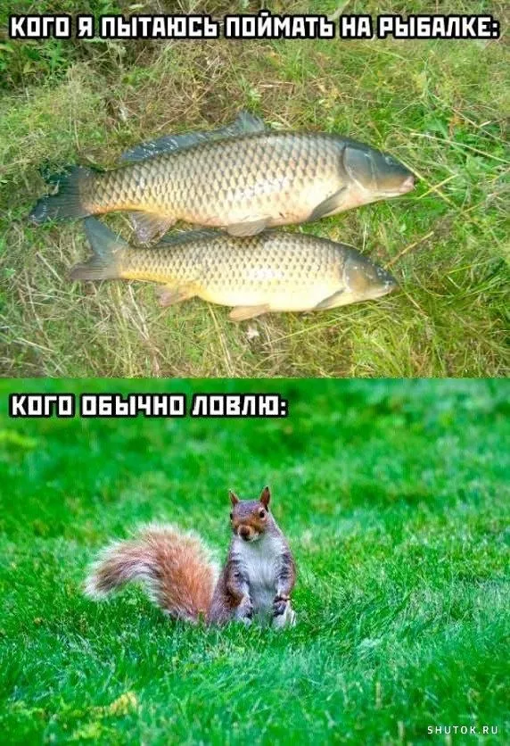 1722626608_shutok.ru.01.webp