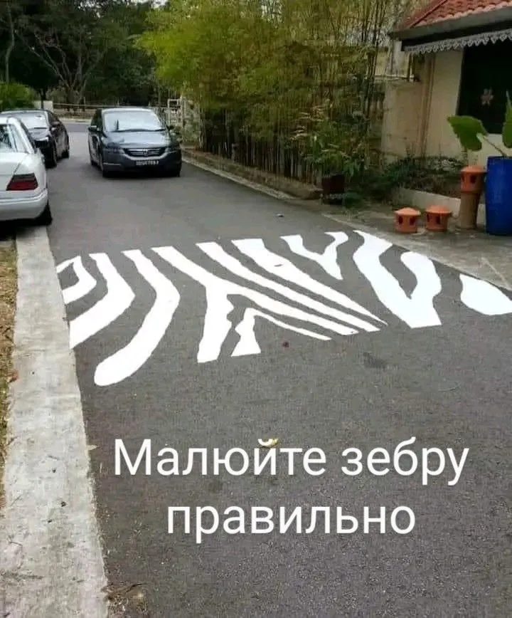 1722764468518~2.webp