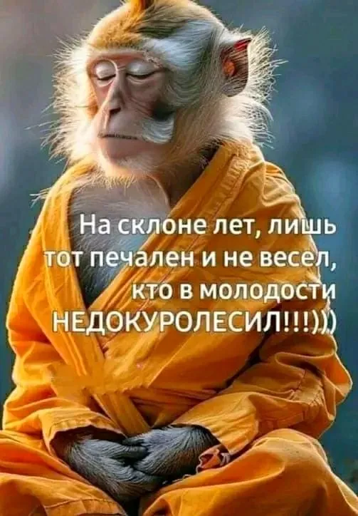 1722790919779.webp
