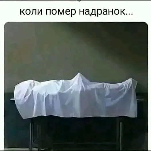 1722798963303.webp