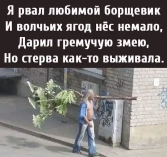 1722919161199.webp
