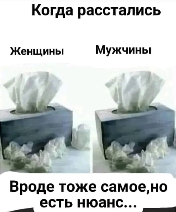 1722946959766.webp