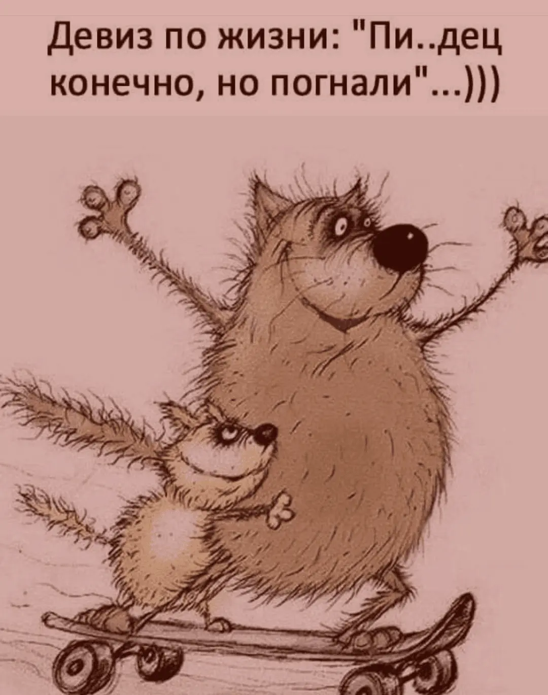 1723005237518.webp