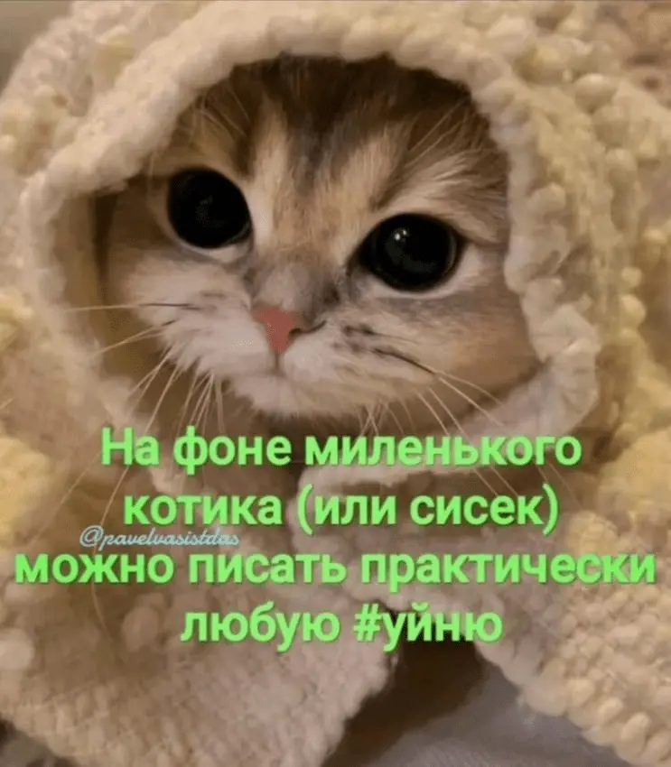 1723009634720.webp