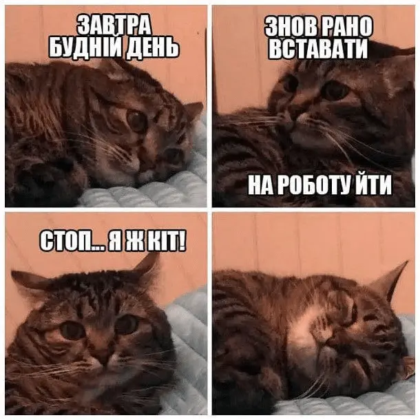 1723061127914.webp