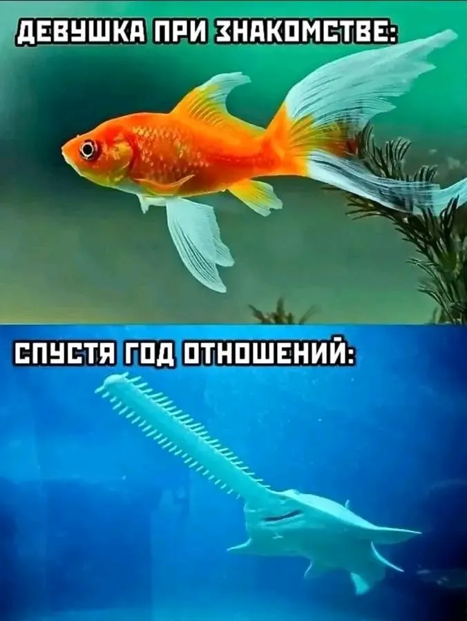 1723120444706.webp